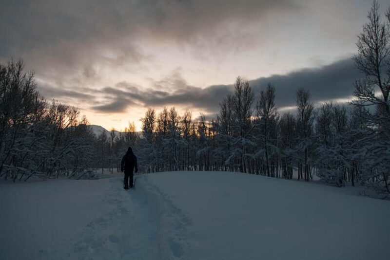 Snowshoe walk and intimate discovery of the Lofoten in French - An Honest Look at the Snowshoe Tour in Lofoten