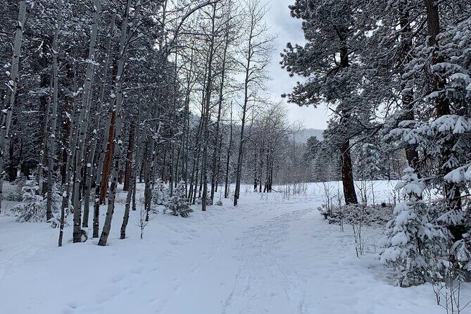 Snowshoeing Adventure in the Rocky Mountains Close to Denver - Authentic Traveler Feedback