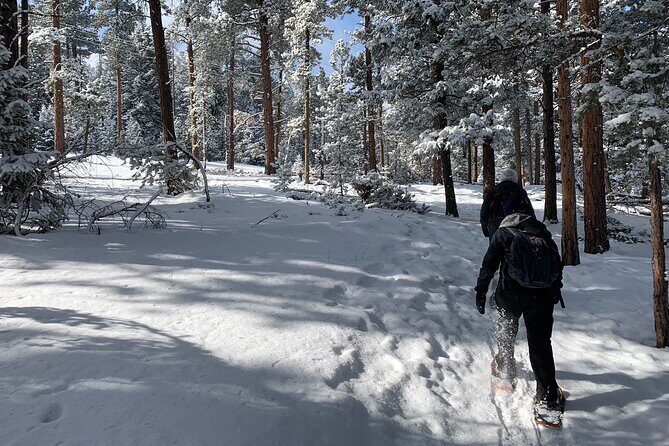 Snowshoeing Adventure in the Rocky Mountains Close to Denver - Practical Tips for Your Snowshoeing Day