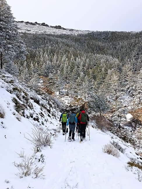 Snowshoeing and sledding in Sierra Nevada from Seville - Key Points