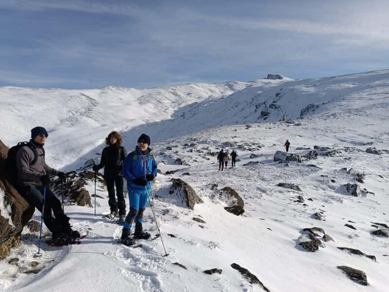 Snowshoeing and sledding in Sierra Nevada from Seville - What Makes This Tour Stand Out?