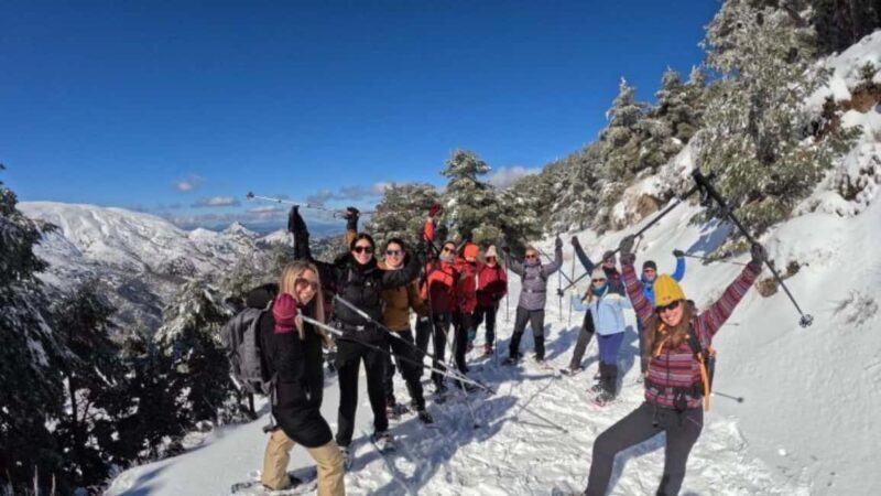 Snowshoeing and sledding in Sierra Nevada from Seville - What the Reviews Say