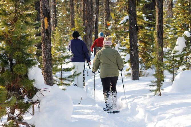 Snowshoeing at The Top of The Sea to Sky Gondola - Who Will Love This Tour?