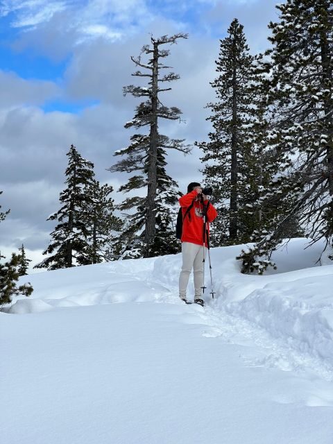 Snowshoeing At The Top Of The Sea To Sky Gondola - Who Will Love This Tour?