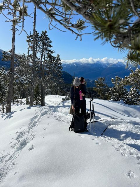 Snowshoeing At The Top Of The Sea To Sky Gondola - Final Thoughts: Is This Tour Right for You?