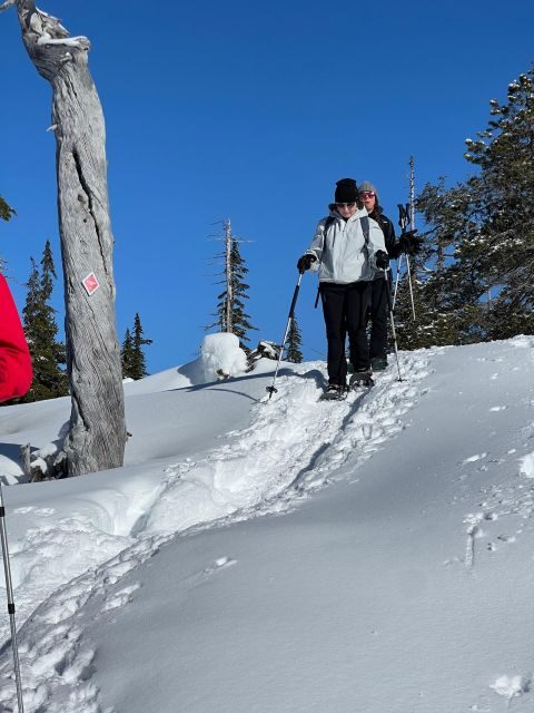Snowshoeing At The Top Of The Sea To Sky Gondola - FAQ: Your Quick Guide to Snowshoeing at the Sea to Sky Gondola