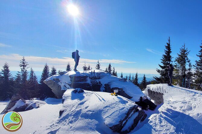 Snowshoeing Fun Tour from Cluj Napoca - What to Expect from the Snowshoeing Tour