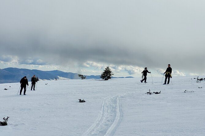 Snowshoeing Fun Tour from Cluj Napoca - FAQ