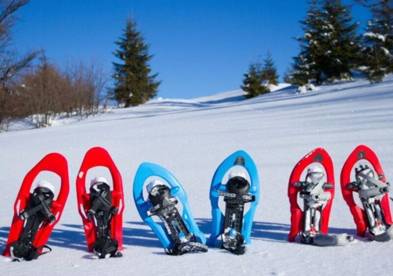 Snowshoeing in Brembana valley - Practicalities: What to Bring and How to Prepare