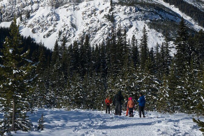 Snowshoeing in Kananaskis - FAQ