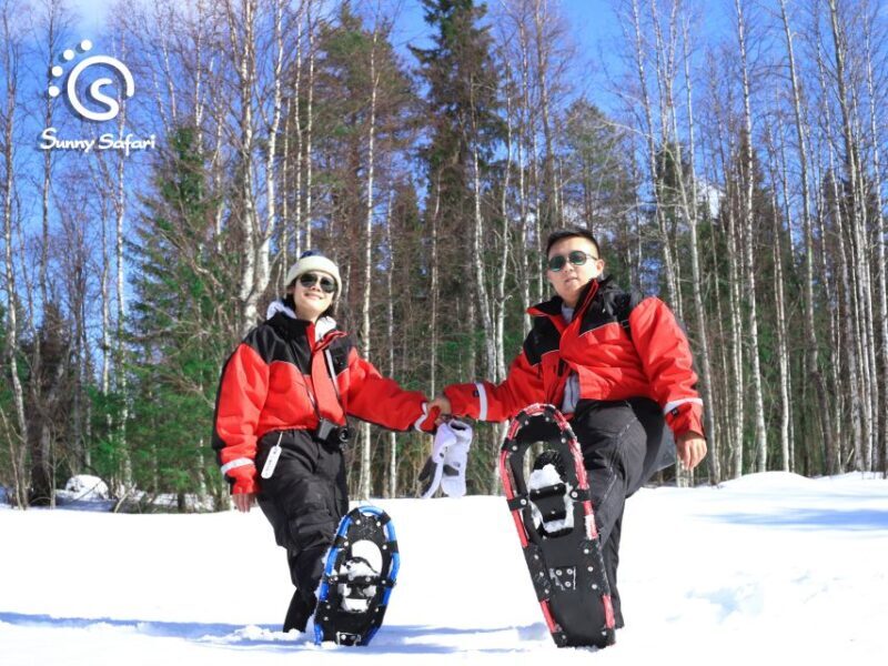 Snowshoeing in Lapland Wilderness - Setting the Scene: Lapland’s Winter Magic