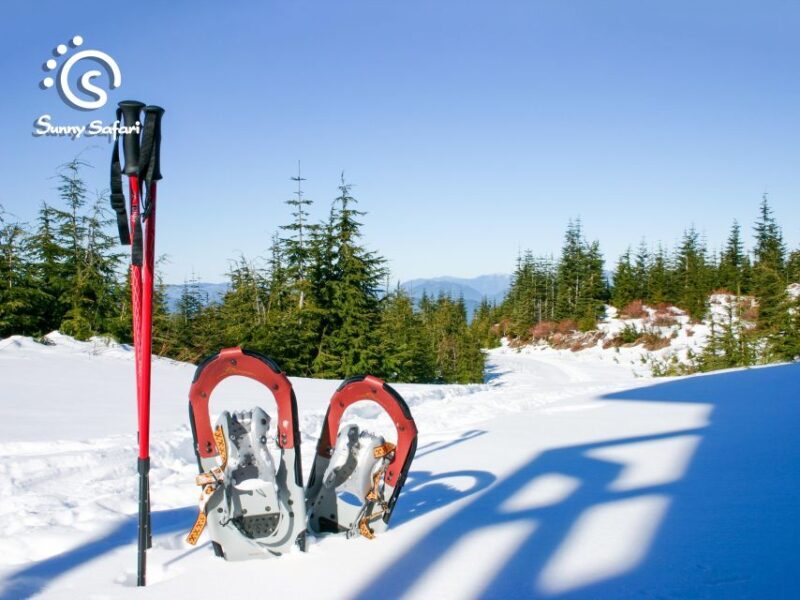 Snowshoeing in Lapland Wilderness - Unique Highlights of the Tour