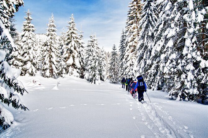 Snowshoeing in Levi - Key Points