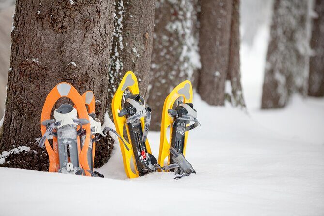 Snowshoeing in Levi - The Price and Its Value