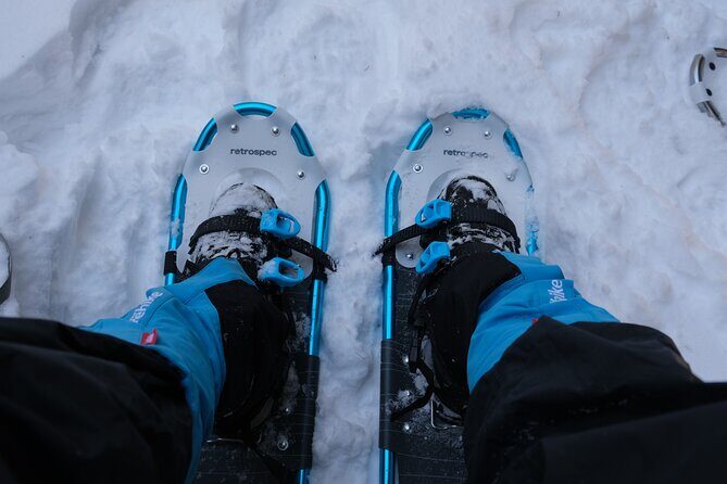 Snowshoeing in Rocky Mountains - The Value of Guided Snowshoeing