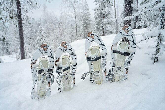 Snowshoeing in Snowy Forest with Local Guide - The Value of a Private Tour