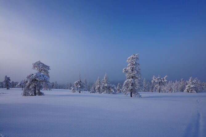 Snowshoeing in Snowy Forest with Local Guide - Final Thoughts
