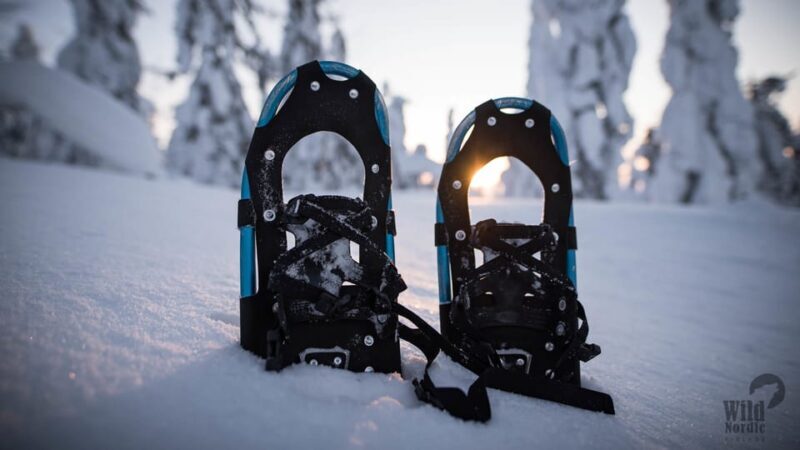 Snowshoeing in the Arctic Wilderness - FAQ