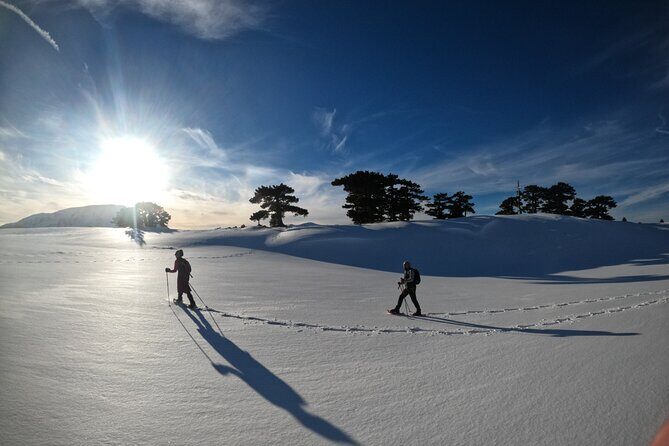 Snowshoeing in the Pollino National Park - The Value of This Tour