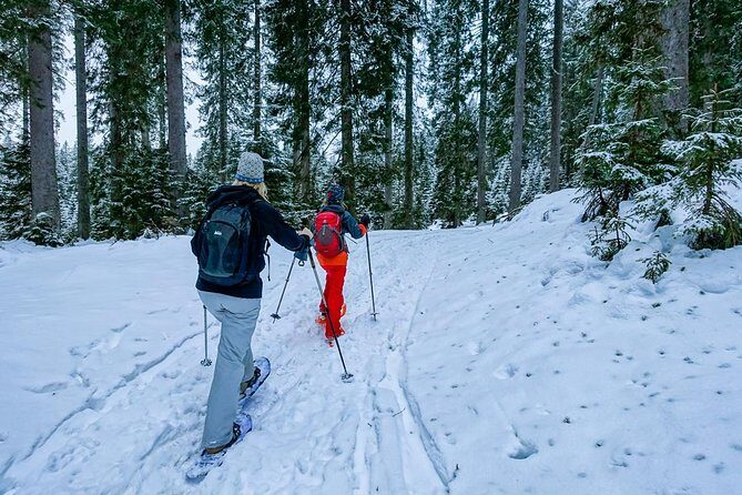 Snowshoeing in Triglav national park - Exploring Snowshoeing in Triglav National Park: A Friendly Guide
