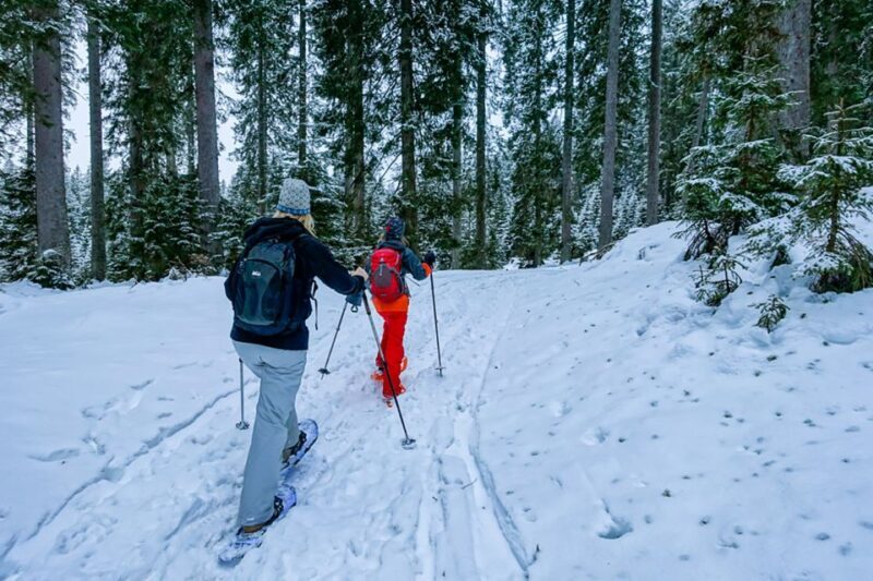 Snowshoeing in Triglav National Park - The Value of This Snowshoeing Tour