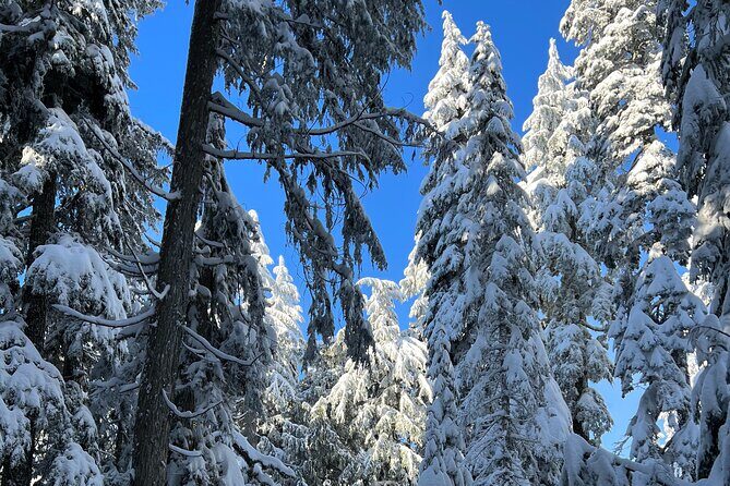 Snowshoeing In Vancouver's Winter Wonderland - Final Thoughts