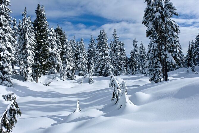 Snowshoeing In Vancouver's Winter Wonderland - FAQ