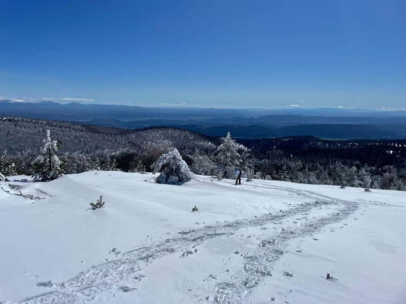 Snowshoeing on the Lure mountain - Key Points