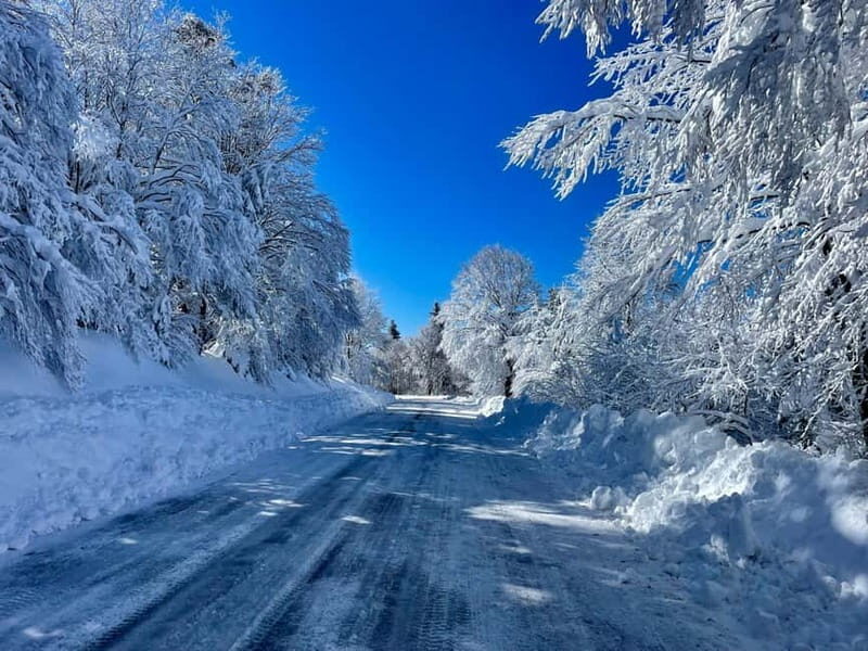 Snowshoeing on the Lure mountain - A Detailed Look at the Snowshoeing Experience on Lure Mountain