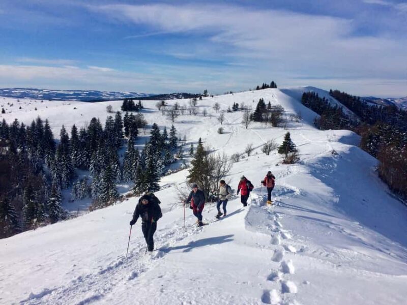 Snowshoeing on the Lure mountain - Final Thoughts: Is It Worth It?