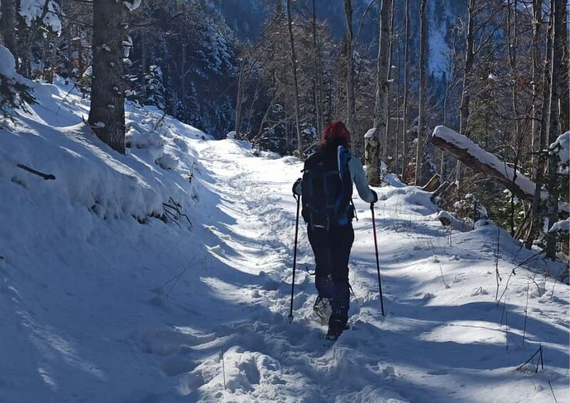 Snowshoeing tour to the peak Ostri Vrv on Jakupica mountain - Key Points