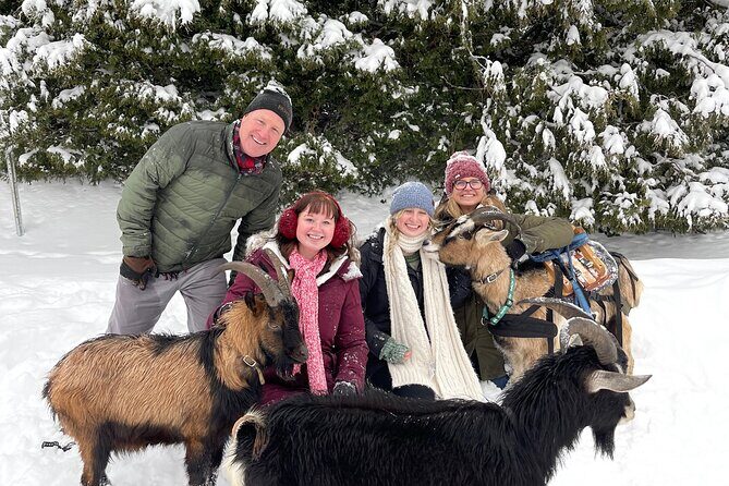 Snowshoeing with mountain goats Private activity - Key Points