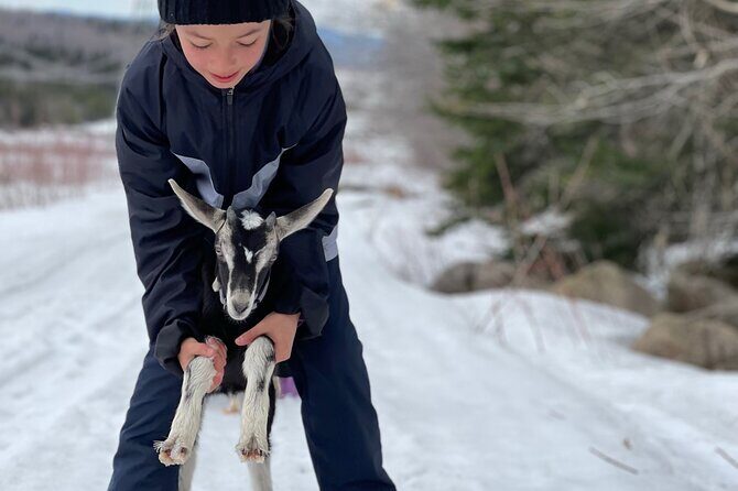 Snowshoeing with mountain goats Private activity - FAQ