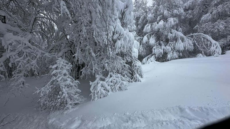 SNOWSHOES - Snowshoes in France: A Practical Guide to a Friendly Snow Hike