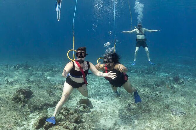 Snuba Cabo San Lucas Dive Without a Tank - What’s Included and What to Bring