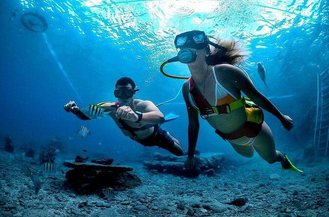 Snuba Cabo San Lucas Dive Without a Tank - Final Thoughts