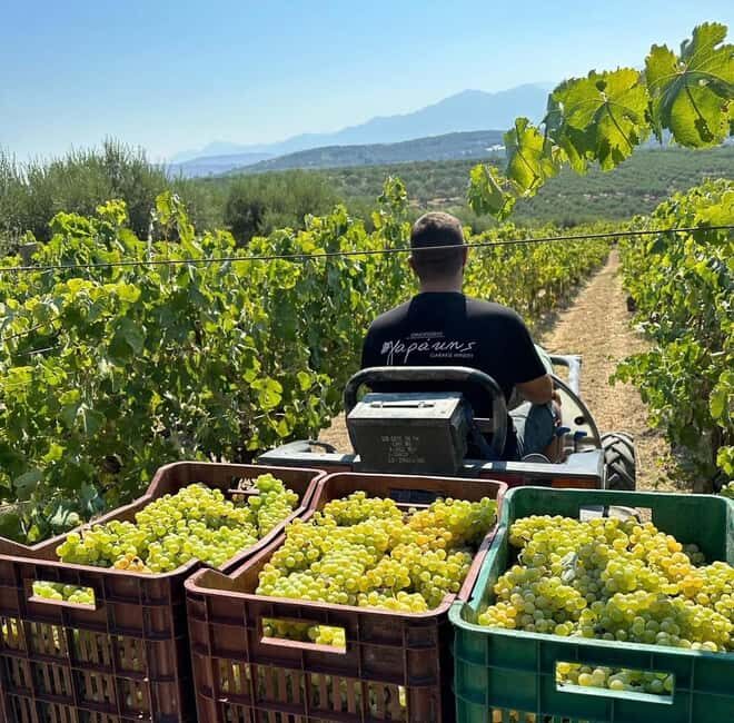 Soap, Wine, Raki, Olive Oil, Meet the local Producers Tour - Authenticity and Value