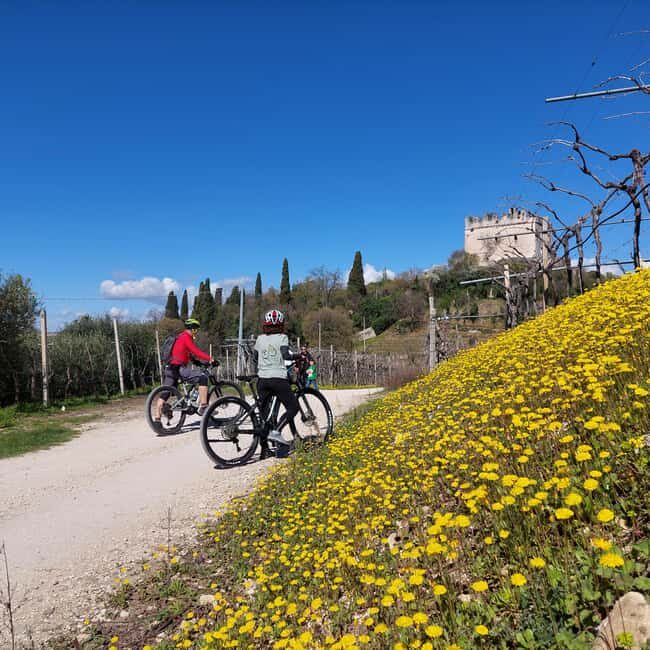 Soave: E-Bike Tour with Wine Tasting in a Local Winery - Key Points