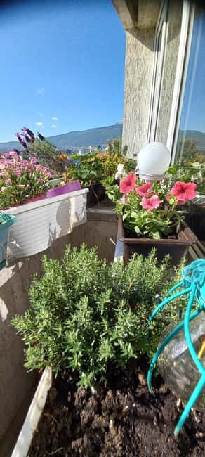 Sofia: 1980s Communism-Era Dinner with Local Host - Practical Details and Value