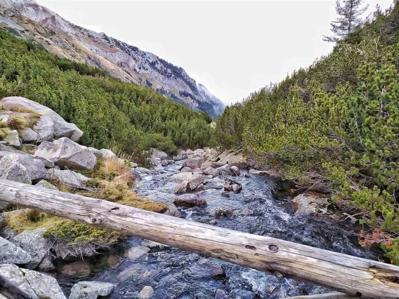 Sofia: Pirin National Park Hike & Bansko Visit - An Honest Look at the Tour Experience