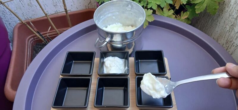 Sofia: Taste Bulgarian Yogurt Kiselo Mlyako in a Family Home - Analysis of Value & Budget