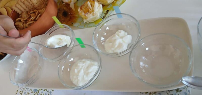 Sofia: Taste Bulgarian Yogurt Kiselo Mlyako in a Family Home - The Real Deal: Pros & Cons