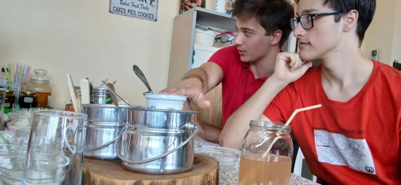 Sofia: Taste Bulgarian Yogurt Kiselo Mlyako in a Family Home - Final Thoughts