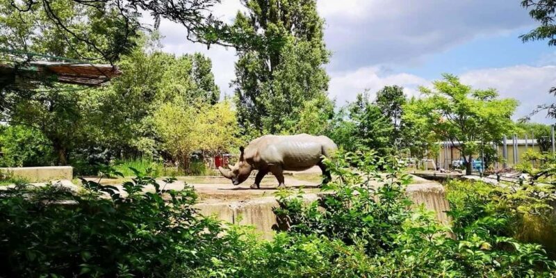Sofia: Zoo Entry Ticket with Hotel Pickup and Lunch - A Closer Look at the Experience