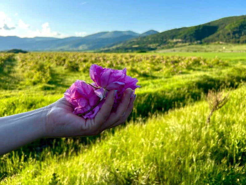 Sofia:The Highlights of Bulgaria - Rose Valley and Buzludzha - Is This Tour Right For You?