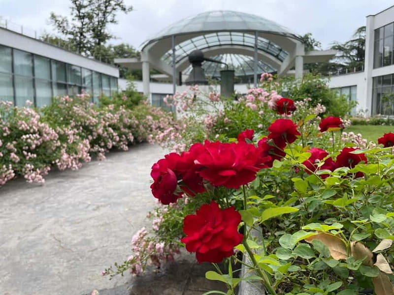 Sofia:The Highlights of Bulgaria - Rose Valley and Buzludzha - Final Thoughts