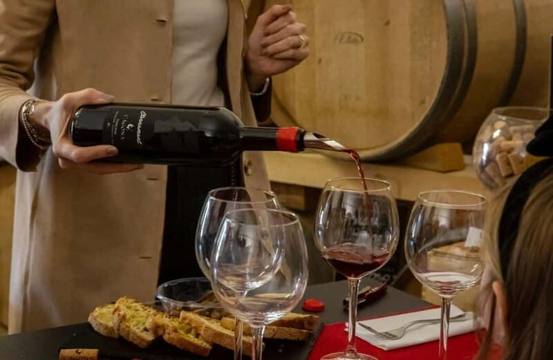 Soiana: Vineyard & Cellar Tour with Wine Tasting near Pisa - Exploring the Vineyard & Cellar Experience Near Pisa