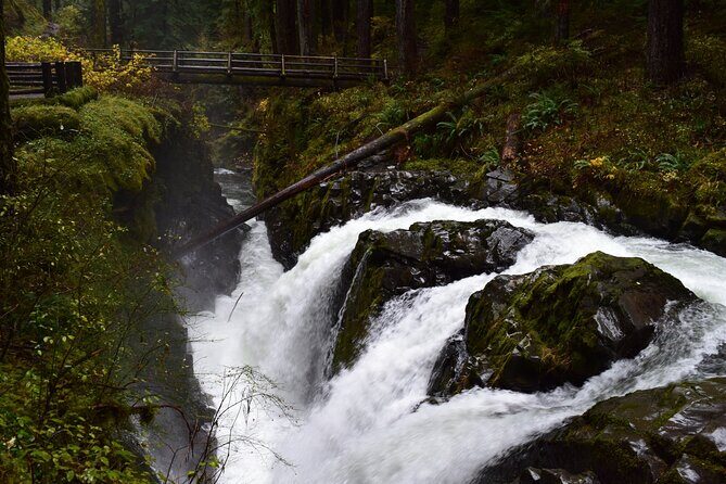 Sol Duc, Lake Crescent, and Hurricane Ridge Guided Tour in Olympic National Park - FAQ