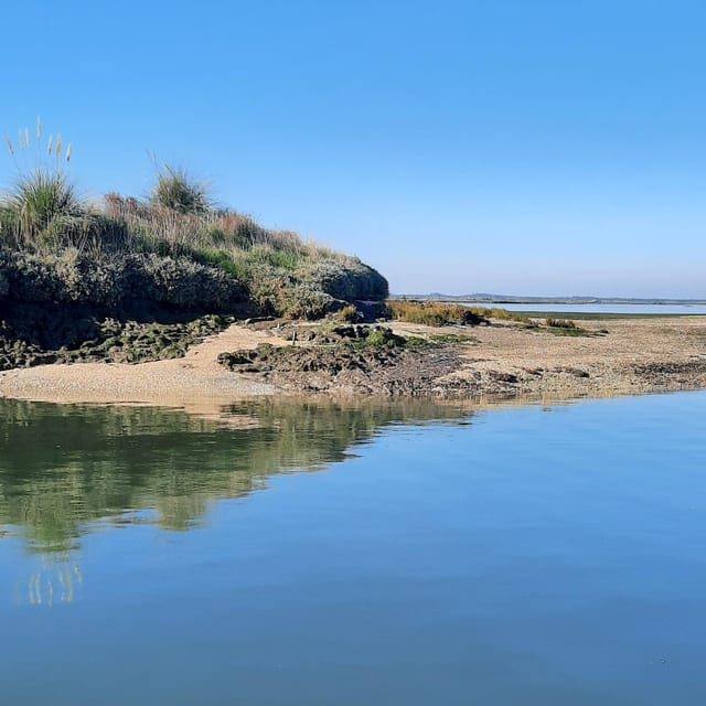 Solar Boat Tour along the Salgado da Ria de Aveiro - A Closer Look at the Solar Boat Tour Experience