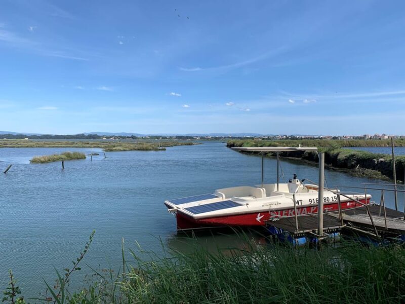 Solar Boat Tour along the Salgado da Ria de Aveiro - Who Should Consider This Tour?